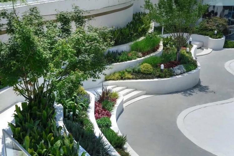 萊蕪泰安民宿樓頂花園綠化設(shè)計(jì)